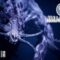 Hellblade: Senua’s Sacrifice #10 – Helheim – Walkthrough, German [PS4]