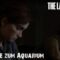 The Last of Us Part 2 #23 – Straße zum Aquarium, Ellie Seattle Tag 3 – Walkthrough, German [PS5]