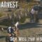 Iron Harvest #05 – Mission 5 | Polonia Kampagne – Der Weg zur Hoffnung – Gameplay, PC [4K]