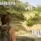 The Last of Us Part 2 #46 – Santa Barbara, Abby / Ellie – Walkthrough, German [PS5]